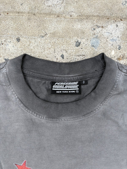 "WORLD UNITY" GRAY TEE